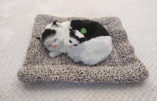 Купить "Кошка с котенком" во Мысках фото 2 "Кошка с котенком" во Мысках фото 2
