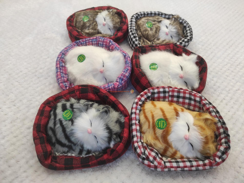 "Кот в мягкой корзине" во Мысках